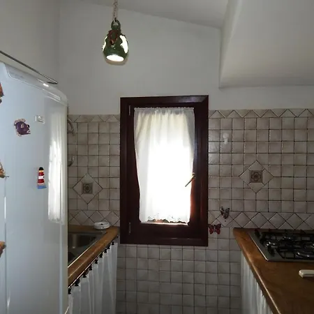 Bilo Artico