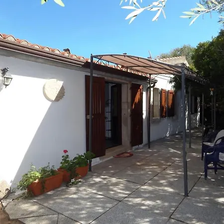 Bilo Artico * Olbia